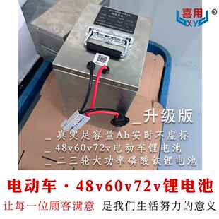 喜用电动车48V60v30Ah三轮车72v50Ah外卖超轻大容量电瓶车锂电池