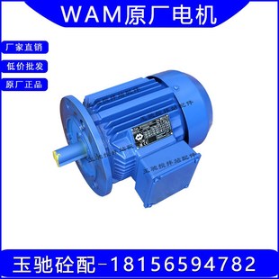意大利WAM威埃姆电机螺旋机3KW 22KW高精度三相异步MT电机马达