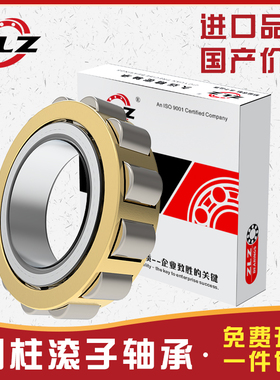 瑞典圆柱滚子轴承RN307 308 309 310 312 328EM