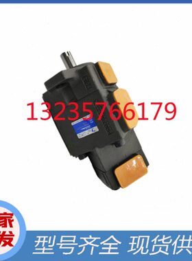 永灵PV2R21-65/59/53/47/41/33/26/31/28/25/23/19/17/14/12F1