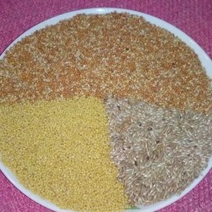 40元1750克 七彩文鸟高档混合粮  文鸟混合粮  混合粮