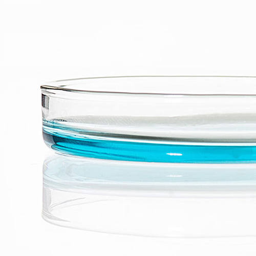 现货速发新鸣固玻璃培养皿玻璃平皿规格齐全培养皿150MM培养皿1品