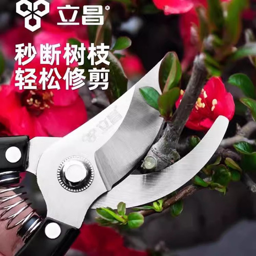 园艺剪刀修剪树枝剪刀修枝剪果树剪花艺剪树枝专用剪刀修枝剪树枝