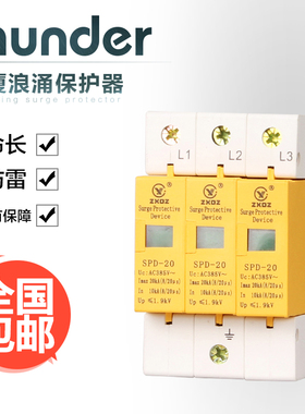 中厦浪涌家用防雷击避雷器开关电涌/泳保护器SPD20KA3P3极220vD级