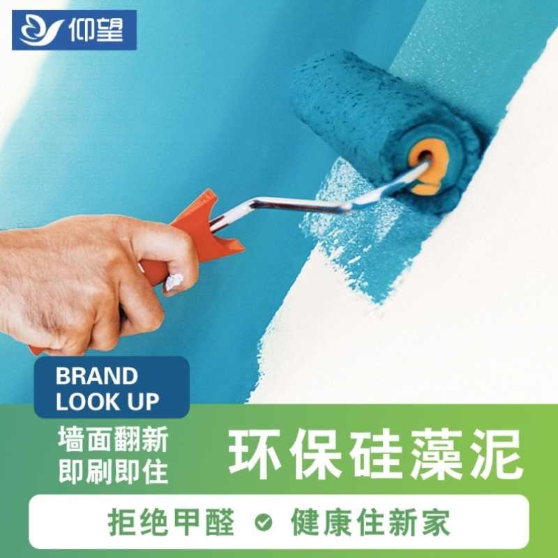 仰望水性硅藻泥涂料环保净味内墙乳胶漆白色墙面漆电视背景墙油漆