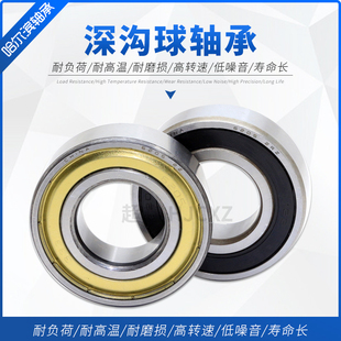 哈尔滨轴承 619/6 619/7 619/8 619/9 ZZ  NSK