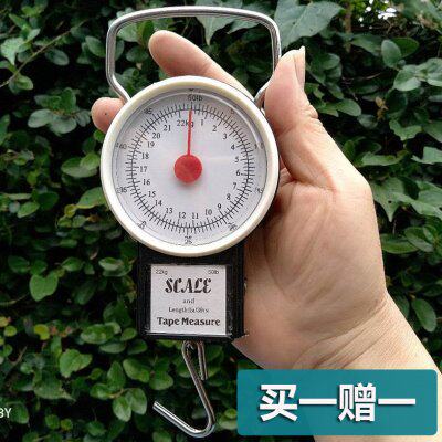 家用随身手提小秤电子弹簧挂钩吊称行李快递便携式精准指针小型秤