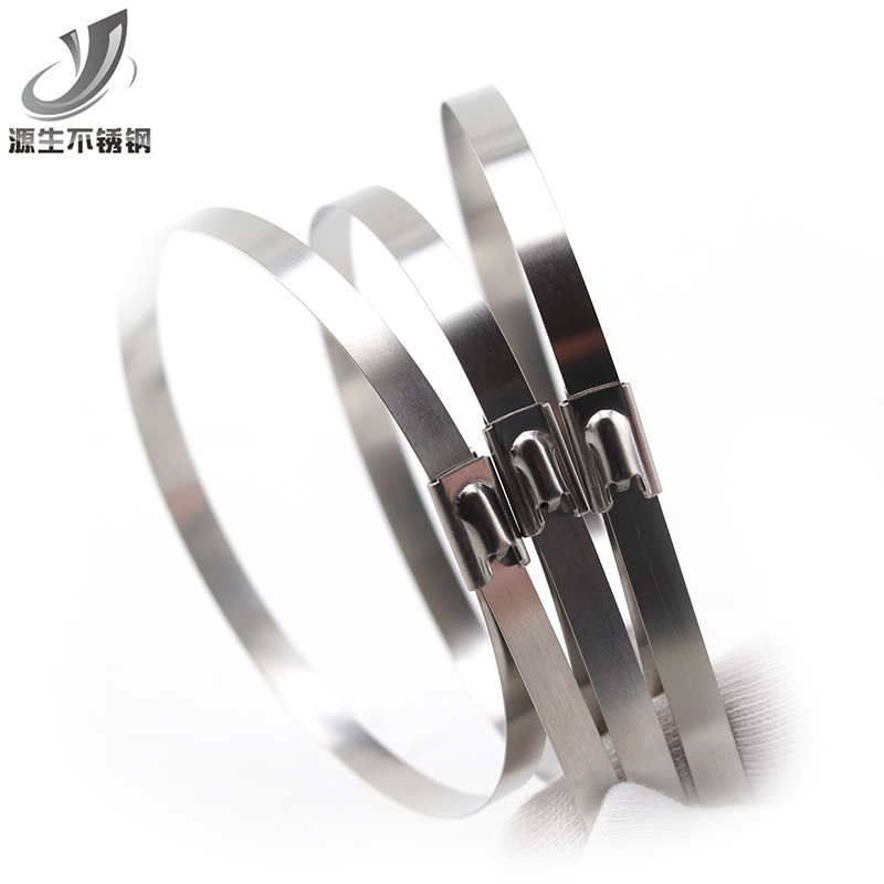 源生304不锈钢扎带 金属扎带收束带铁丝L固定绑扎带 4.6多规格