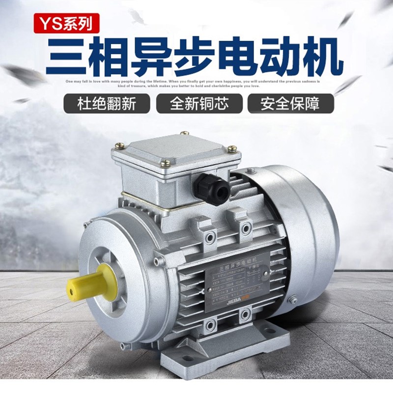 YE3100L2-4 3KW/380V国标三相异步电动机铝壳铜线电机U28轴3000W