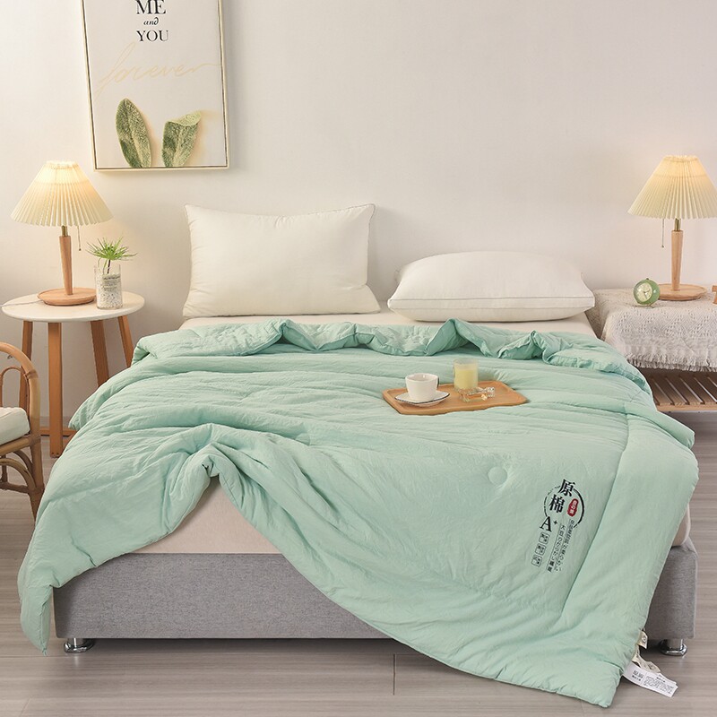 原棉A+大豆被空调被夏被冬被春秋被子2米4斤6斤1.5米1.8米2m8双人