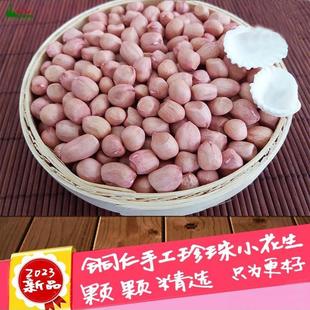 D正品2023年新品 贵州生花生 精选铜仁珍珠小花生米 粉红皮松桃
