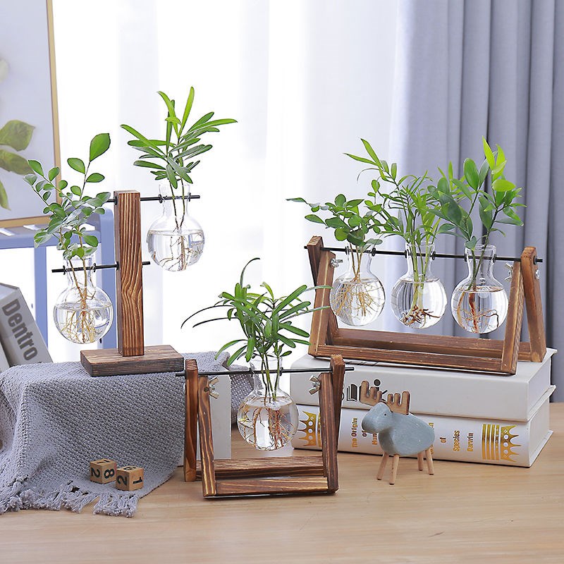 客厅插花摆件创意玻璃小花瓶简约E透明水培小型植物容器小口养