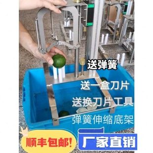 新会柑开皮机器 陈皮开皮机 开柑皮器开柑皮机精密不锈钢开皮机器