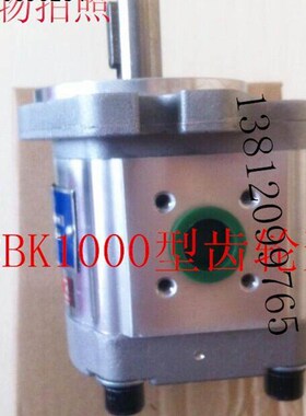 齿轮油泵CBK1004 CBK1006 CBK1008 CBK1010 CBK1012 CBK1016A1FR