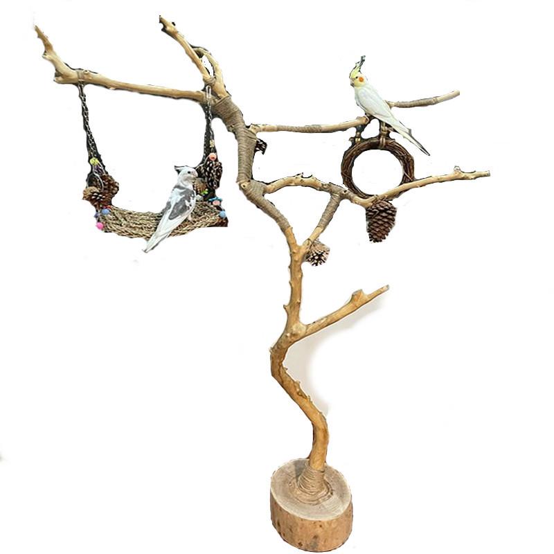 干树枝原木杈干鸟架造型壁挂衣架艺术干枝枯木树干架吊顶龙骨装饰