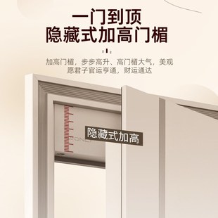 WL王力甲级安全防盗门入户门进户门家用子母门大门智能门锁S101