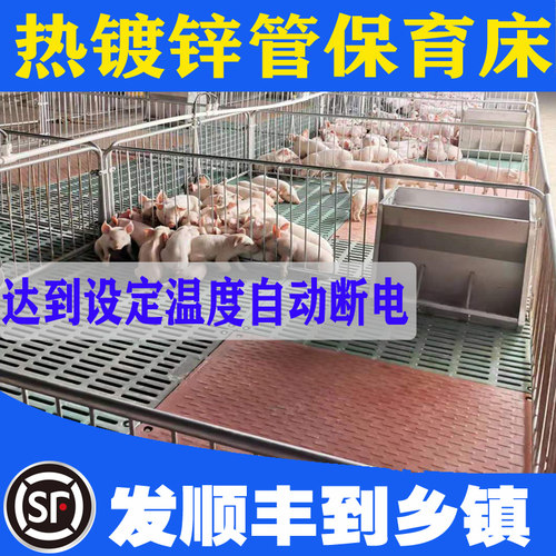 仔猪保育床复合板保育栏母猪产床定位栏养猪设备畜牧机械