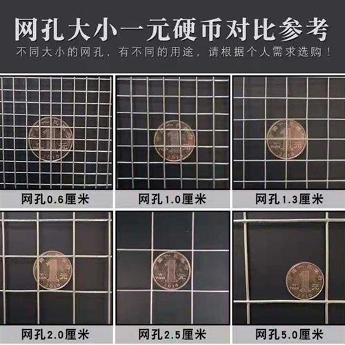 现货鸡鸭鹅围养护栏防锈网防鼠网钢丝隔离网菜园拦鸡网圈地网玉米