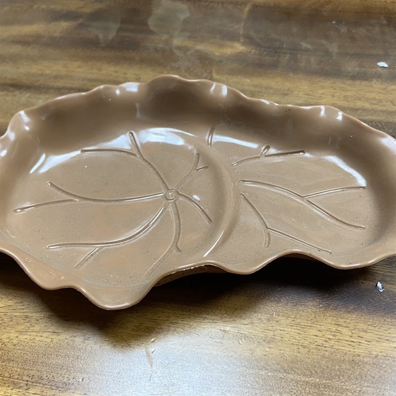 巴西木水培植物幸运木专用接x水盘多肉托盘巴西木托盘椭圆形底托