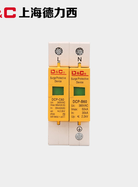 上海DC 家用浪涌保护器DCP-60KA2P电涌开关防雷器避雷器220V