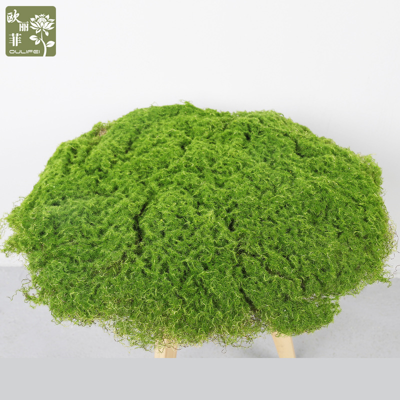 仿真植物草坪苔藓 室内景观摆件装饰植物墙仿生 仿真青苔造景批发