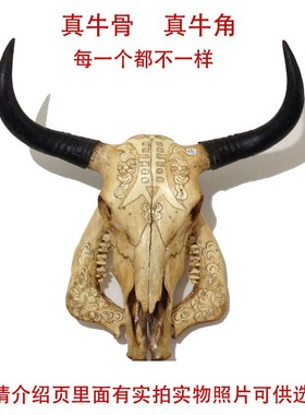 牛头装饰骨工h艺品牛头骨羊头骨牛头骨标本牛头骨挂件壁挂墙饰真