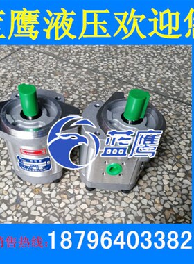 CBK1012 CBK1016 CBK1020 CBK1025-B1FR B1FL A1FR B1FR齿轮泵