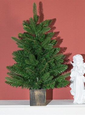 跨境亚马逊绿色环保per圣诞树仿真松树桌面摆件小号圣诞树源头厂