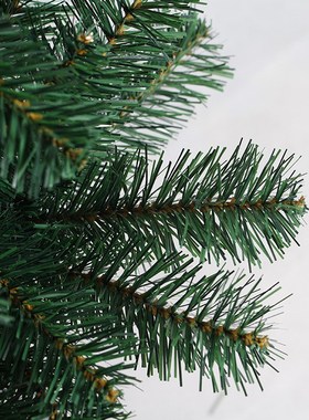 多规格圣诞树 户外j居家装饰圣诞摆件 180cmPVC绿色加密普通圣诞