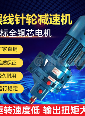 摆线针轮减速机卧式BWD立式BLD减速器XWLD2变减速器配国标铜芯电