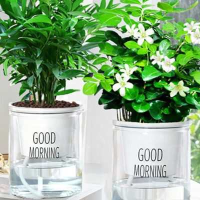 仿玻璃花瓶透明水养绿萝花盆容器风信子水培植物办公桌装饰定植篮