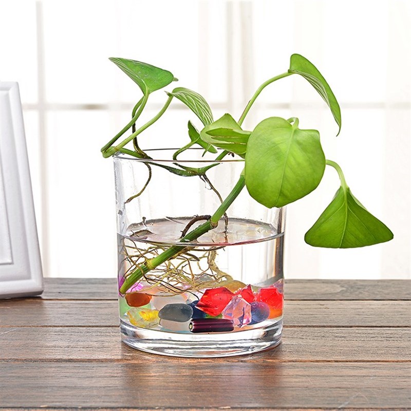 水培植物玻璃瓶 透明现代直筒圆柱形花瓶简约P玻璃方缸 水培瓶子
