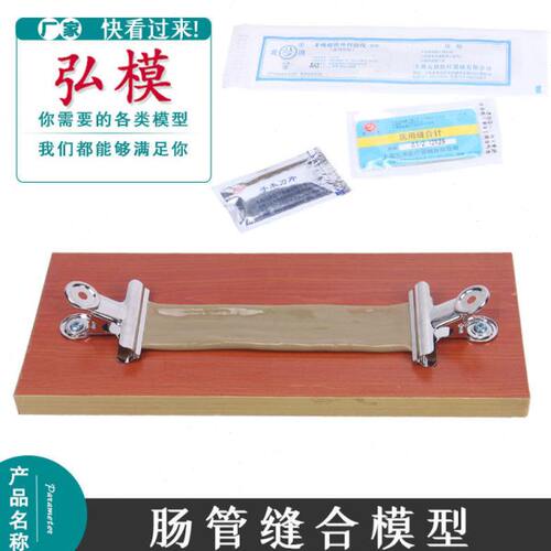 弘模高级肠管吻合模型外科缝合训练专用医学实习模具30mm 20mm