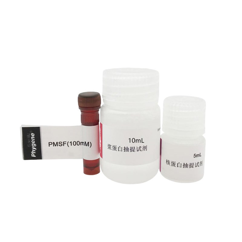 细胞核蛋白与细胞浆蛋白抽提提取试剂盒 100T [PH0324 PHYGENE]
