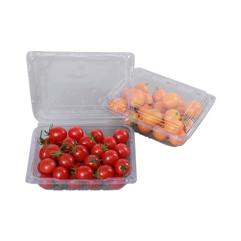 透明盒子装水果菠萝宝盒子一次性果盘切盒水果打包盒一次性果盒