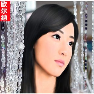 又见一帘幽梦场景帘绝美少女水晶珠帘新款门帘隔断挂帘子玄关帘