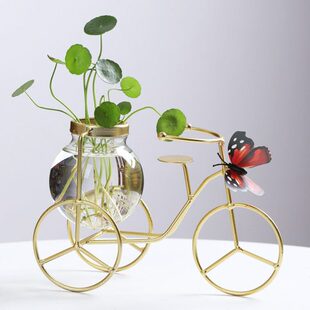 创意简约铁架花瓶家居桌面客厅装饰摆件铜钱草绿萝水培玻璃花插