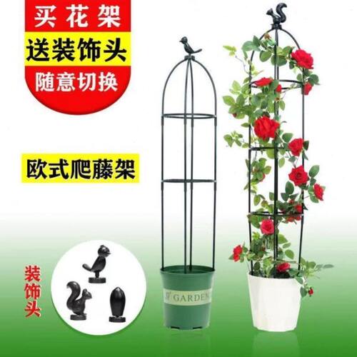 昙花专用支架月季花架园艺爬藤花植物铁线莲紫藤攀爬阳台撑欧式花