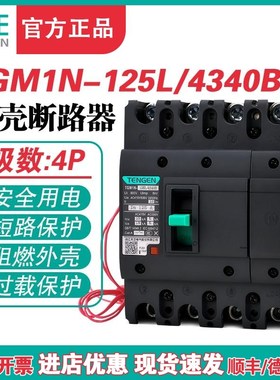 TENGEN天正TGM1N-125L/4340B 125A塑壳断路器125A空气开关4P 380V