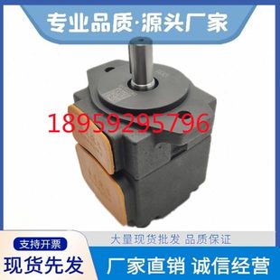 100叶片泵125 E25仙居YLC永灵YB 160油泵 E32