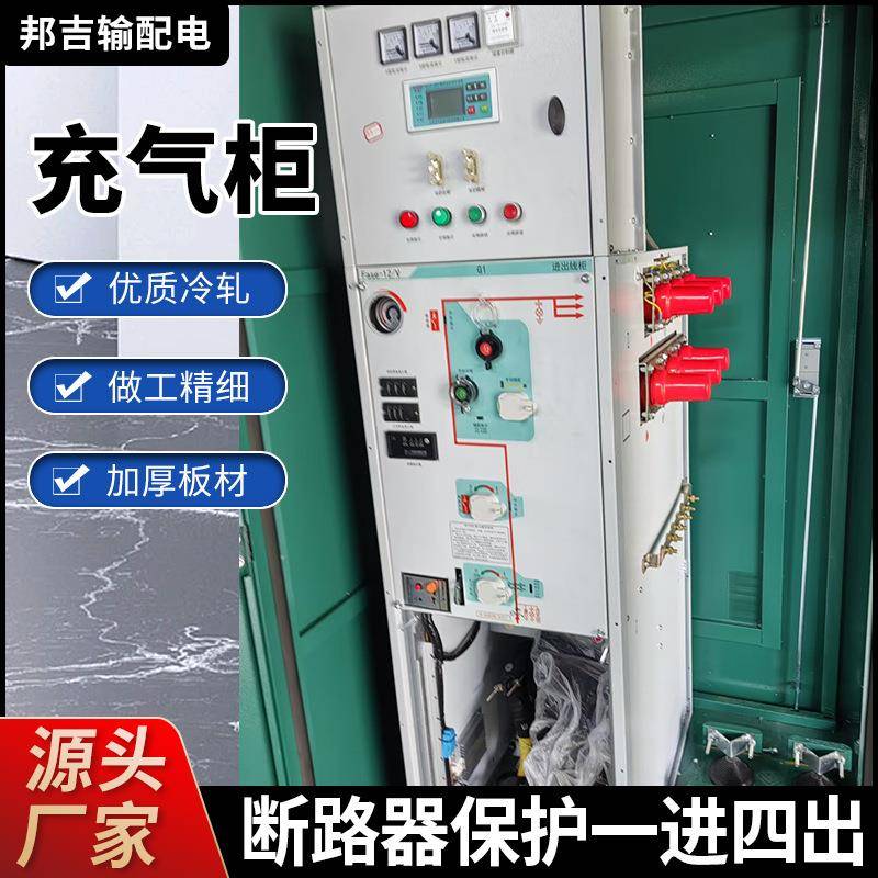 10千伏二进四出环网柜2进8出全绝缘环网柜一进三出开关箱充气柜S