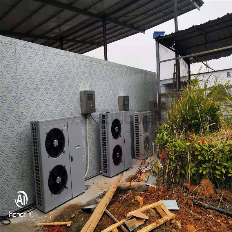 全自动鱼胶低温冷风干燥机鱼泡低温烘干机鱼鳔烘干设备