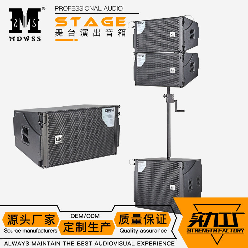 LR10单10寸线阵音箱小型舞台专业音响套装Line array speaker只