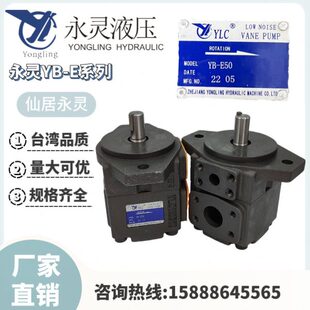 100 E200油 E50 160 125 E63叶片泵YB 仙居YLC永灵YB