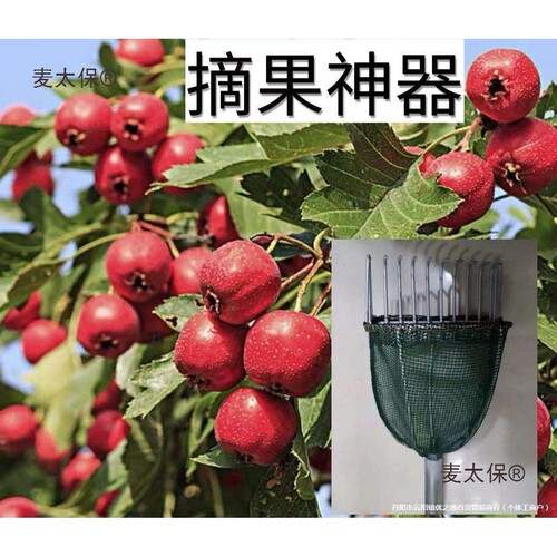 摘酸枣山楂油茶太保农用菊花果采麦韭菜花蓝莓神器刺梨茶籽银杏果