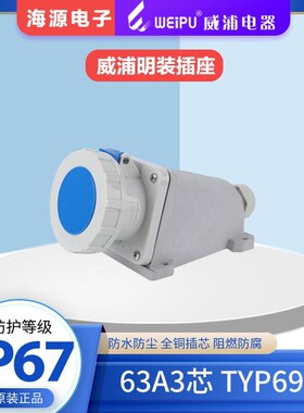 WEIPU威浦防水工业明装插座 TYP6902 63A3芯 220V 2P+E 6H IP67