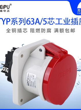 威浦 TYP5923 工业插头 暗装直式插座 连接器 63A 5芯 IP44 WEIPU