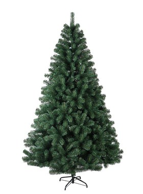 多规格圣b诞树 户外居家装饰圣诞摆件 180cmPVC绿色加密普通圣诞