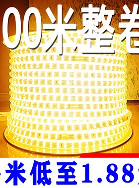 led灯带100米超亮2835-5730暖光白光暖光吊顶户外养殖照明220V