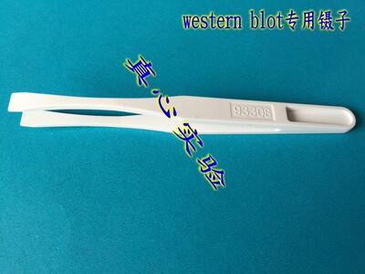 免疫组化western blot专用镊子 WB孵育盒镊子荧光实验专用镊子